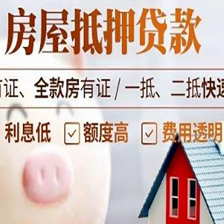 陇川贷款助贷公司新渝启服成立时间久